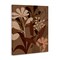 Stupell Industries Muted Boho Botanicals Canvas Wall Art Design by Dogwood Portfolio